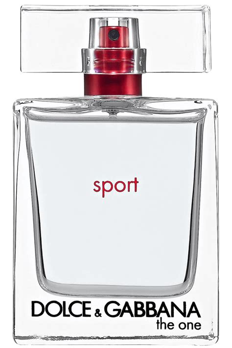 dolce gabbana the one homme sport